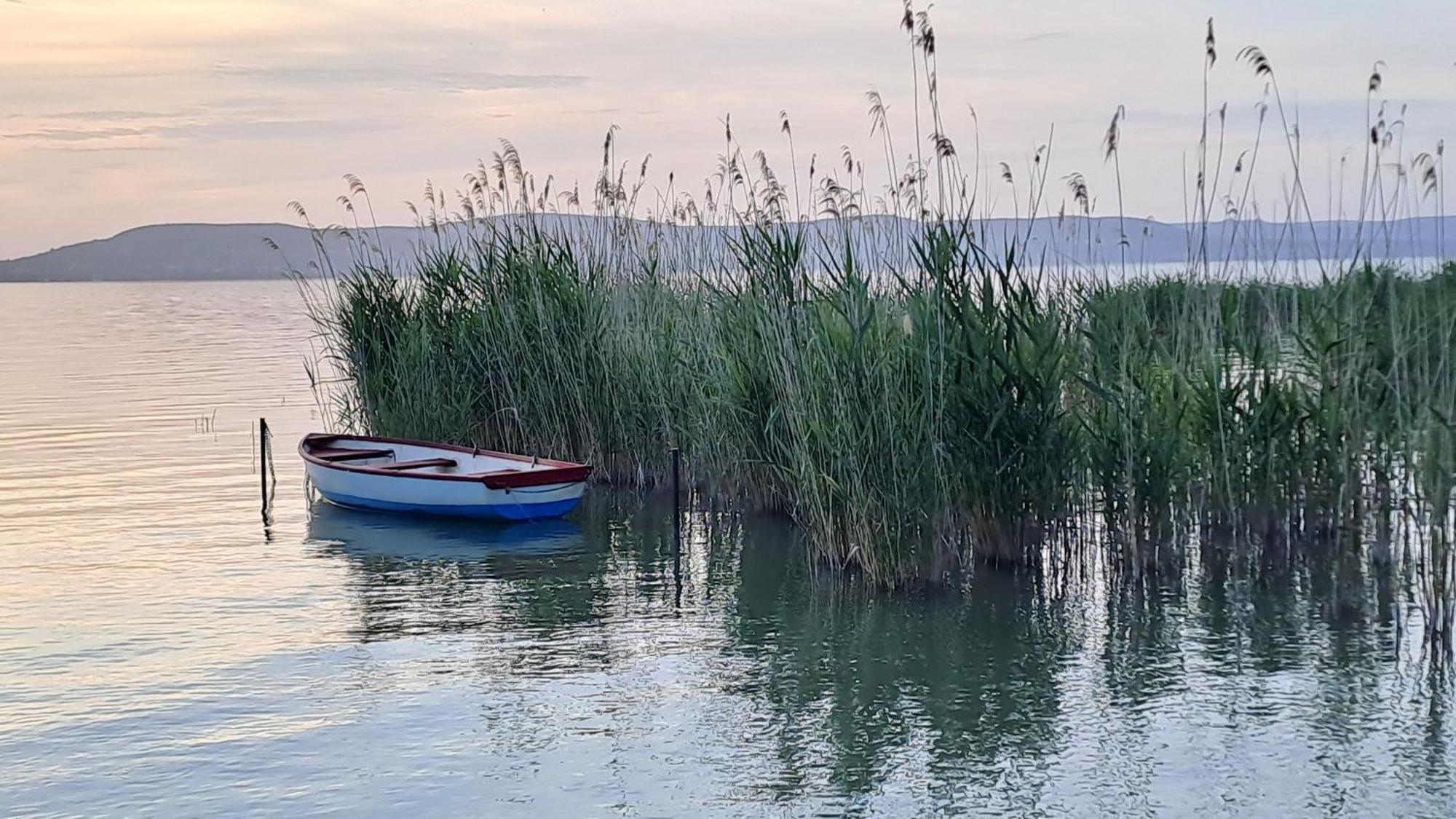 Panoramic Art Apartment With Jacuzzi Balatonlelle Bagian luar foto
